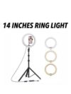 Right light