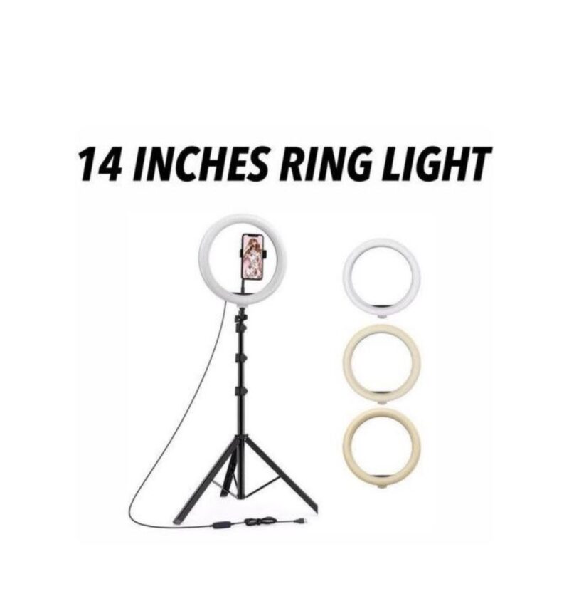 Right light