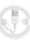 PowerEdge Lightning Cable
