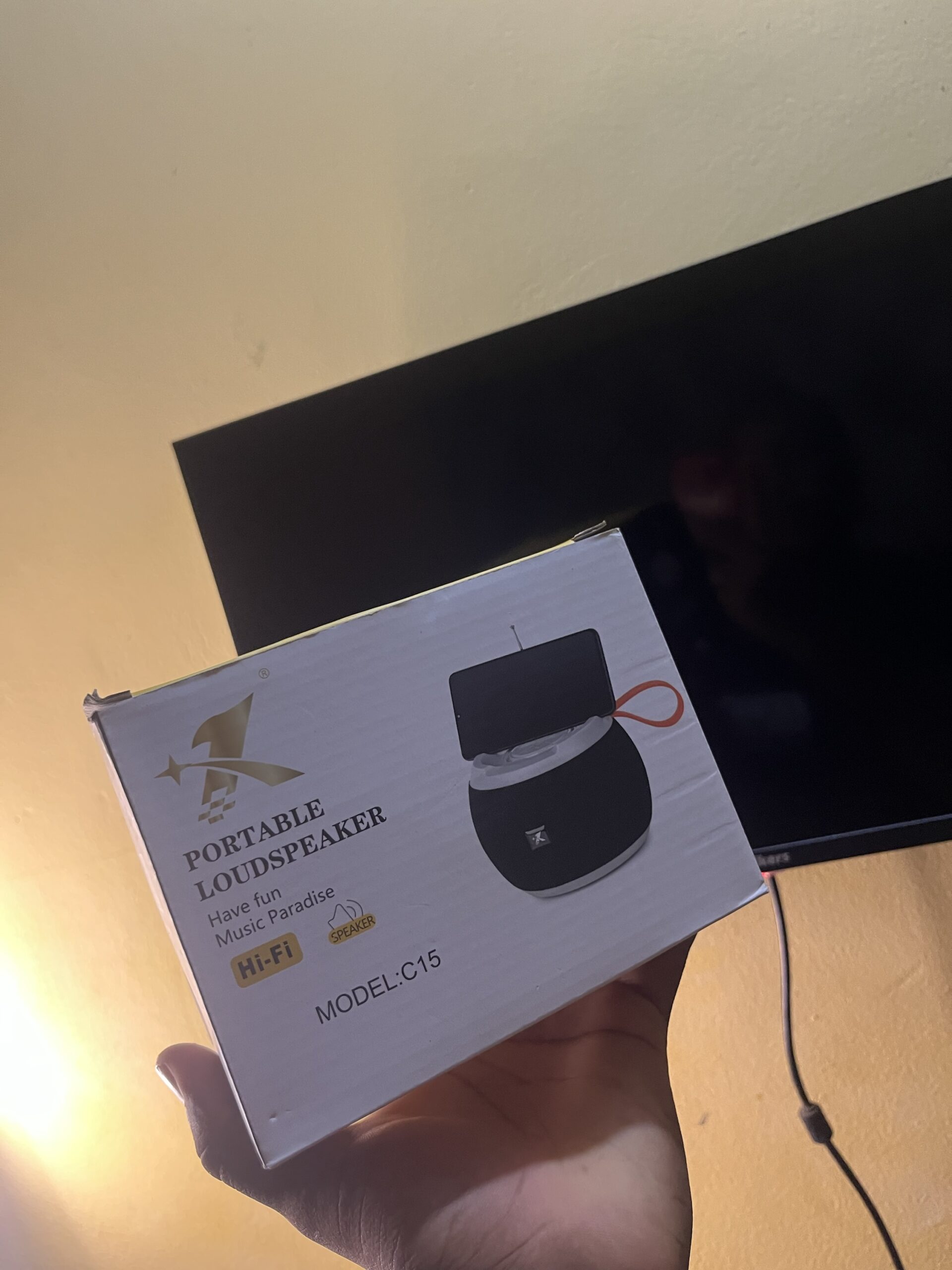 PORTABLE LOUDSPEAKER - Image 2